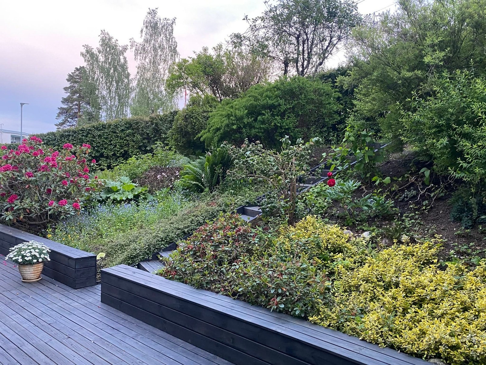 Selgers bilde av hovedterrassen med beplantning. Galleribilde