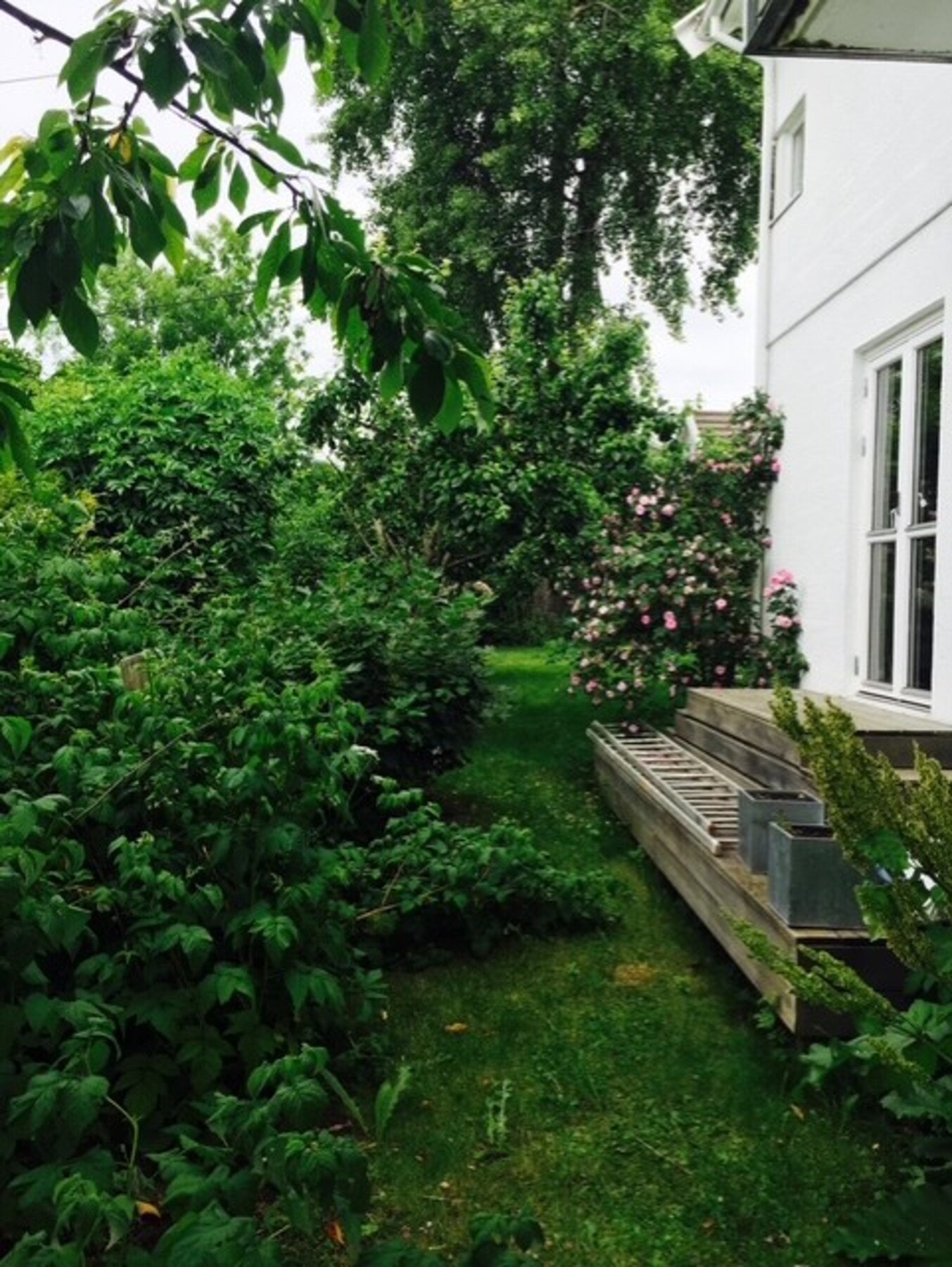 Selgers private foto Galleribilde