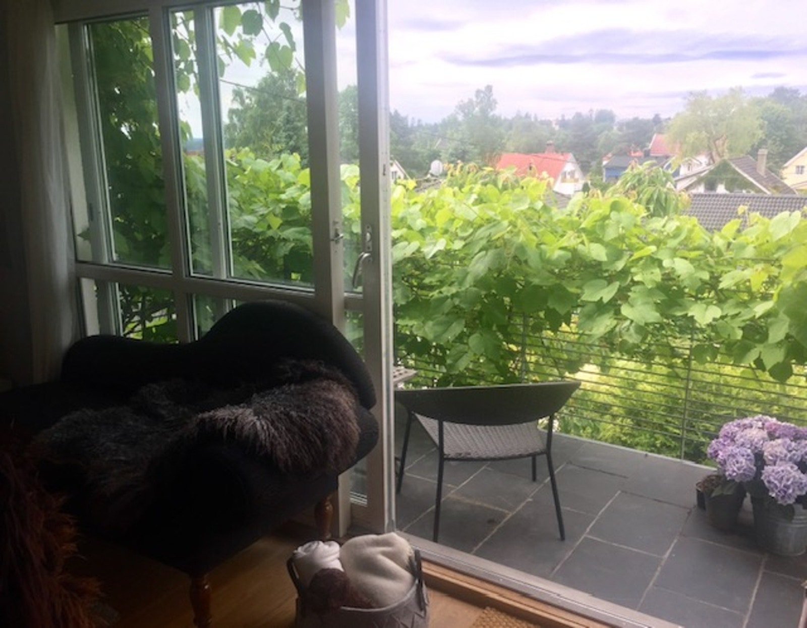 Selgers private foto Galleribilde