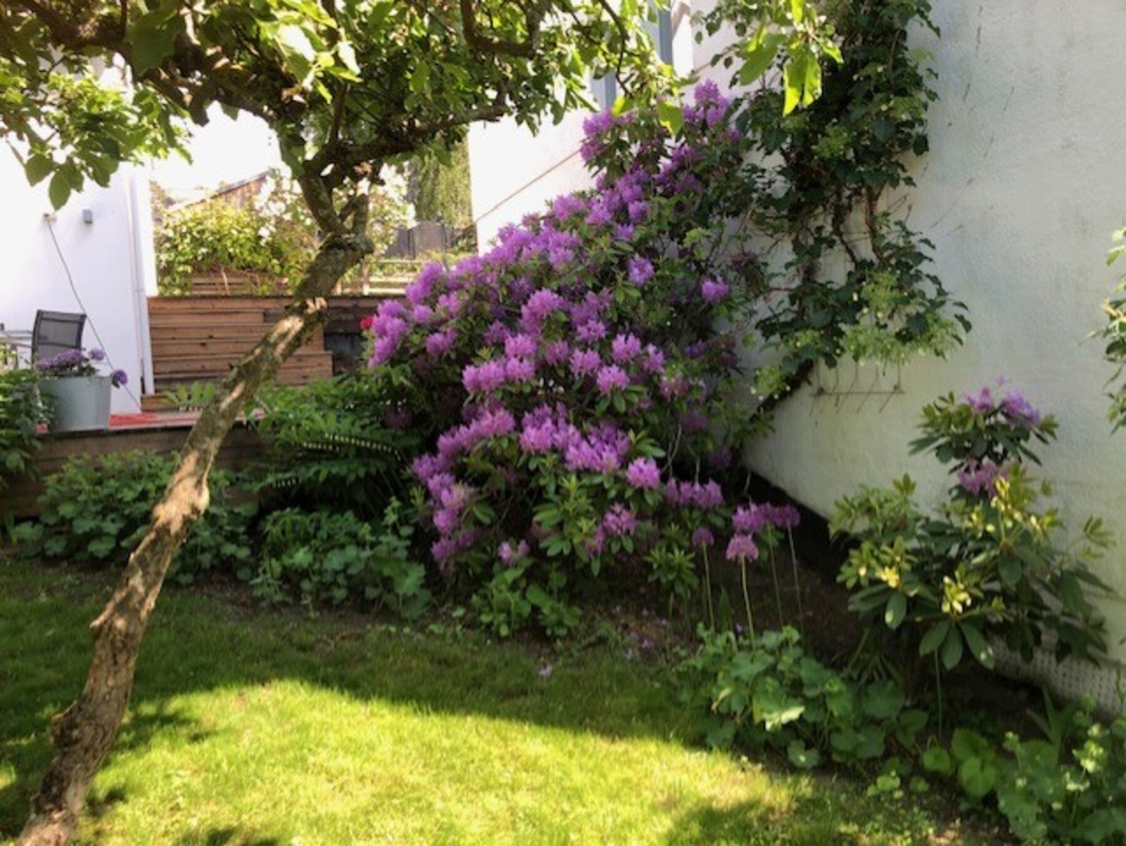 Selgers private foto Galleribilde