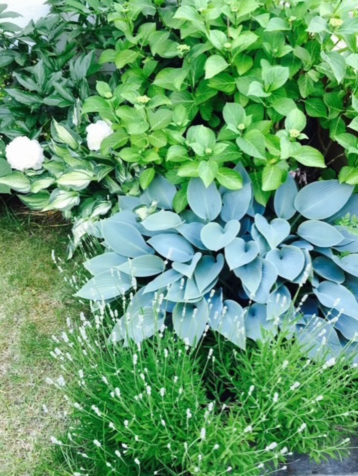 Selgers private foto Galleribilde