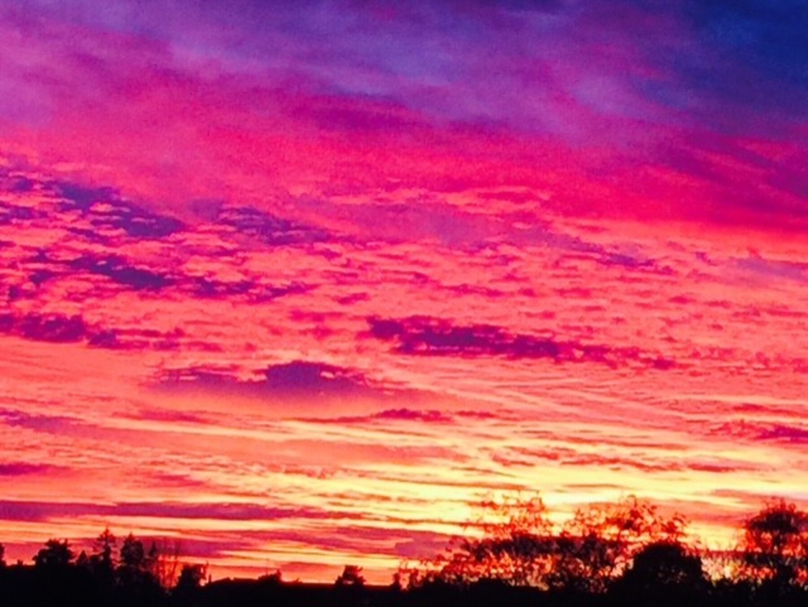 Selgers private foto Galleribilde