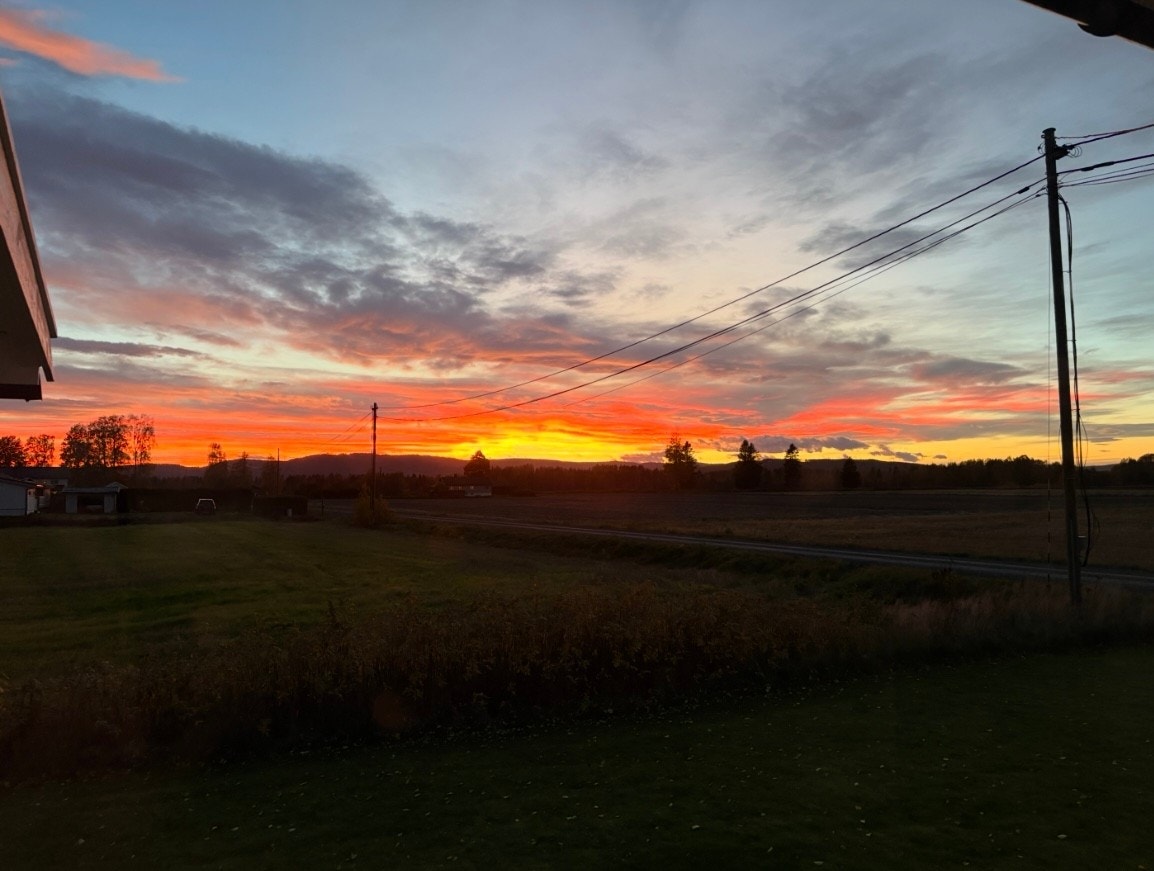 Selgers bilde. Galleribilde