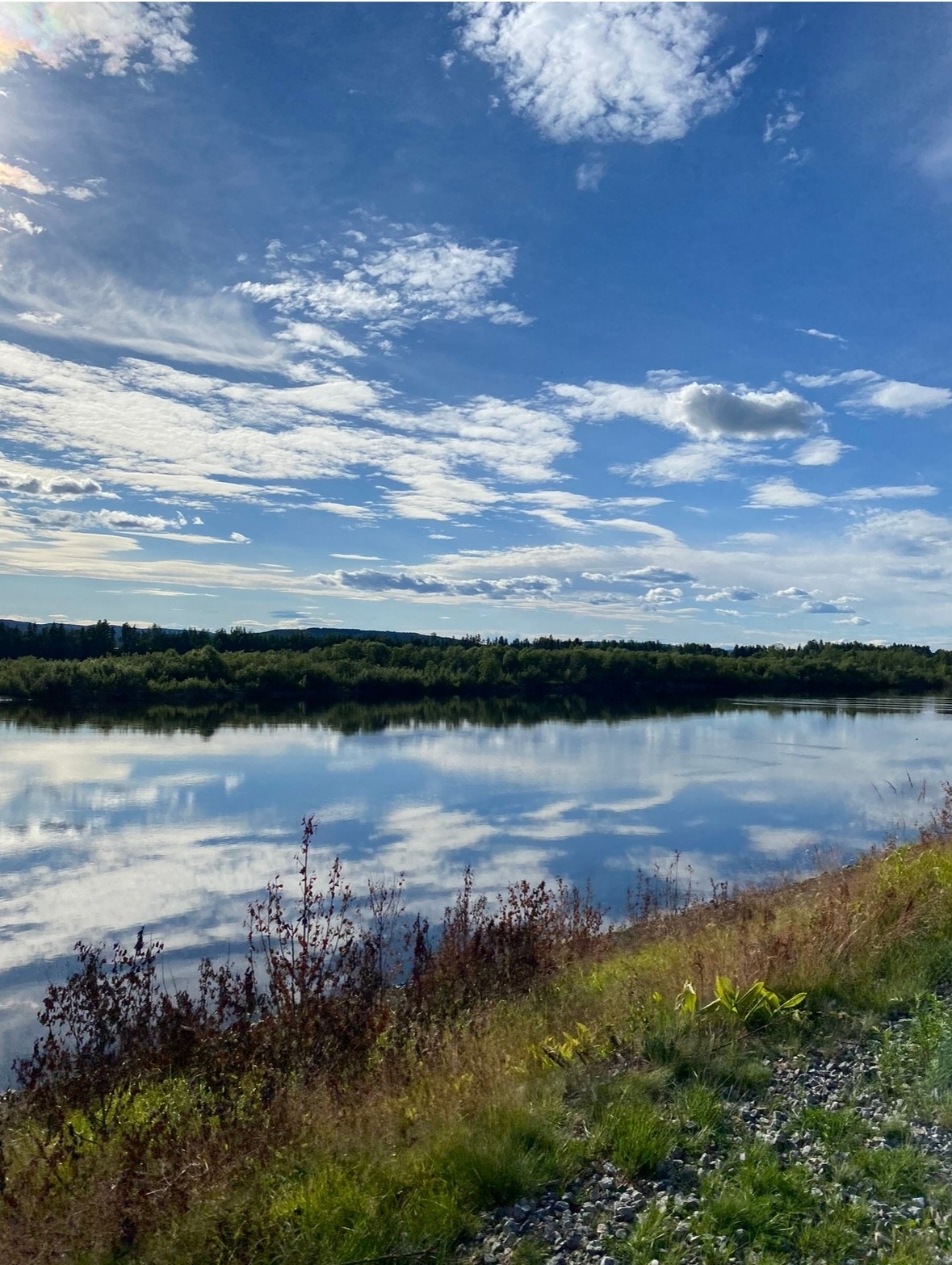 Selgers bilde. Galleribilde