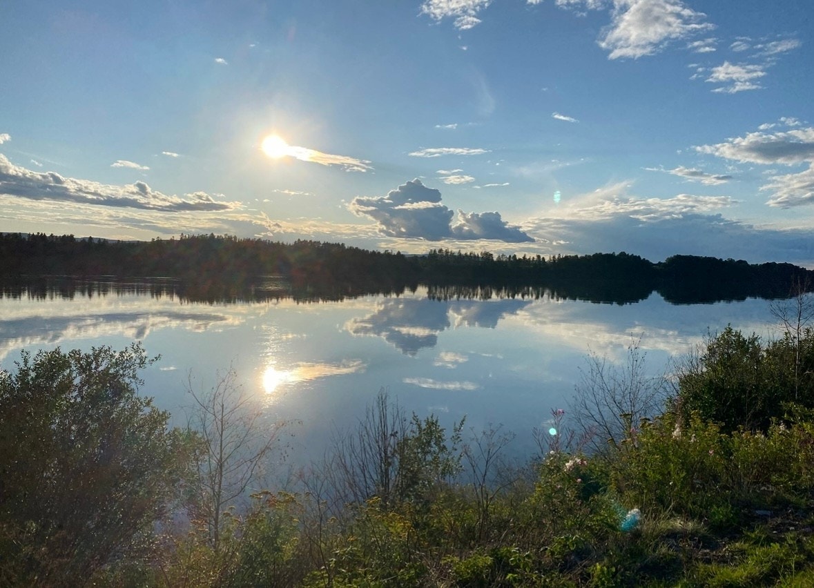 Selgers bilde. Galleribilde