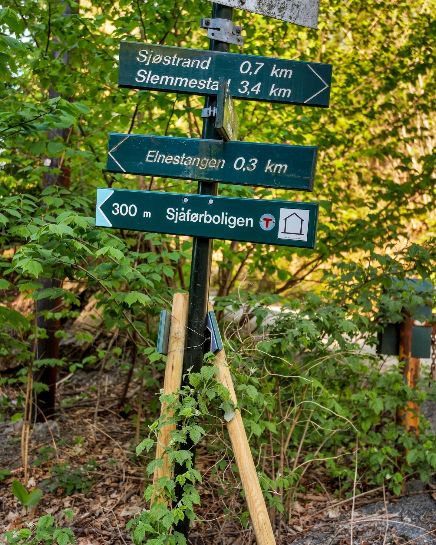 Den populære Kyststien gir deg flotte turmuligheter, i tillegg til den enkle tilgangen til marka lenger opp. Galleribilde