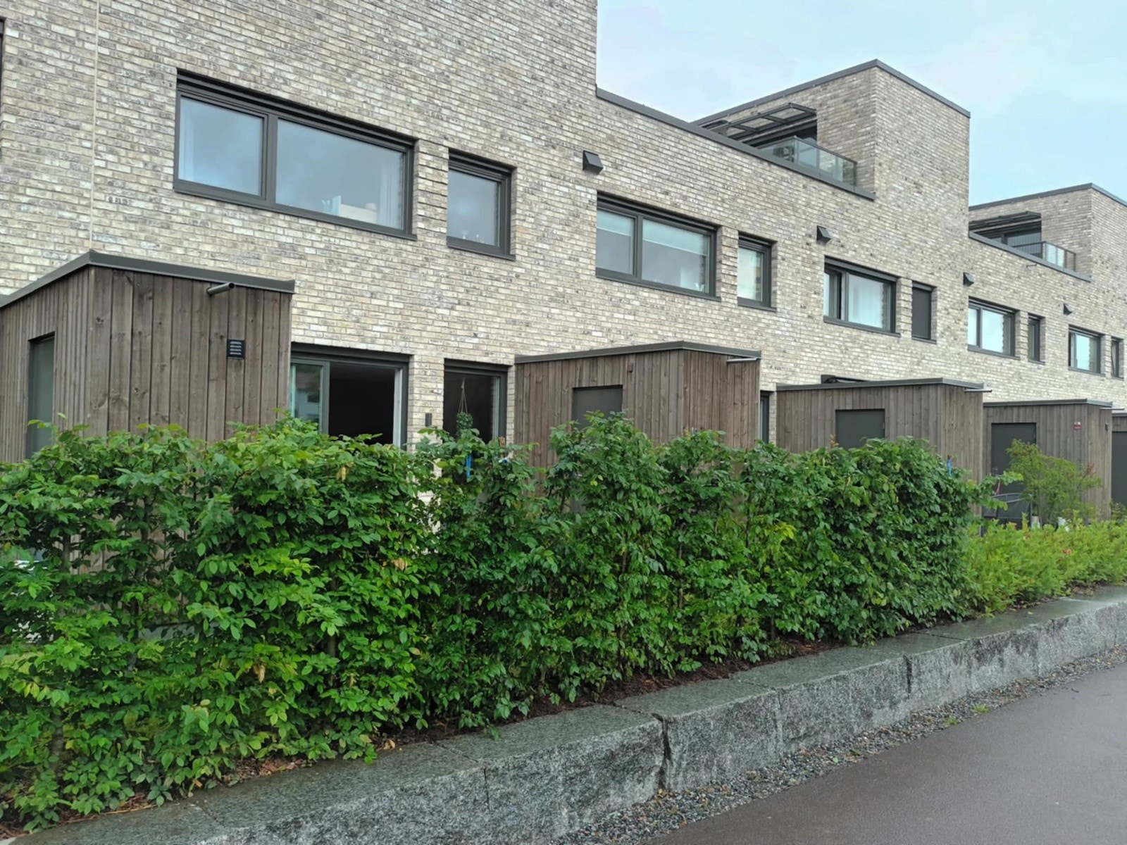 Privat bilde. Bildet viser hekken om sommeren Galleribilde