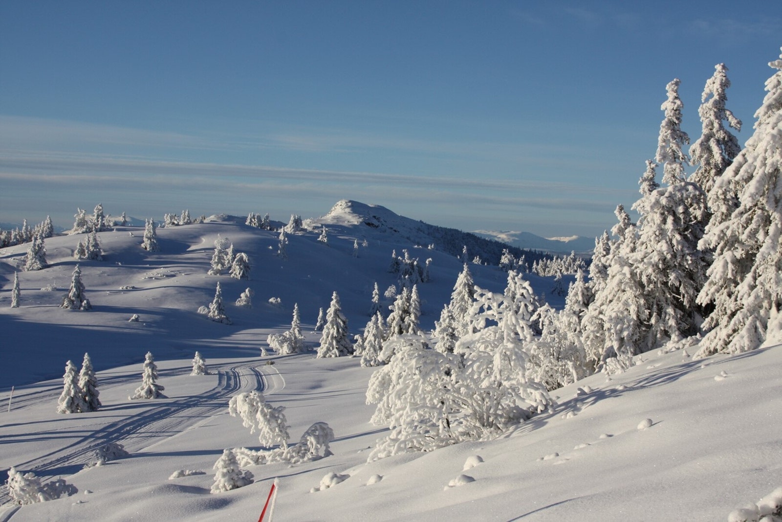 Løyper i vakkert landskap på Aurdalsåsen. Foto: Aurdal i Valdres Galleribilde