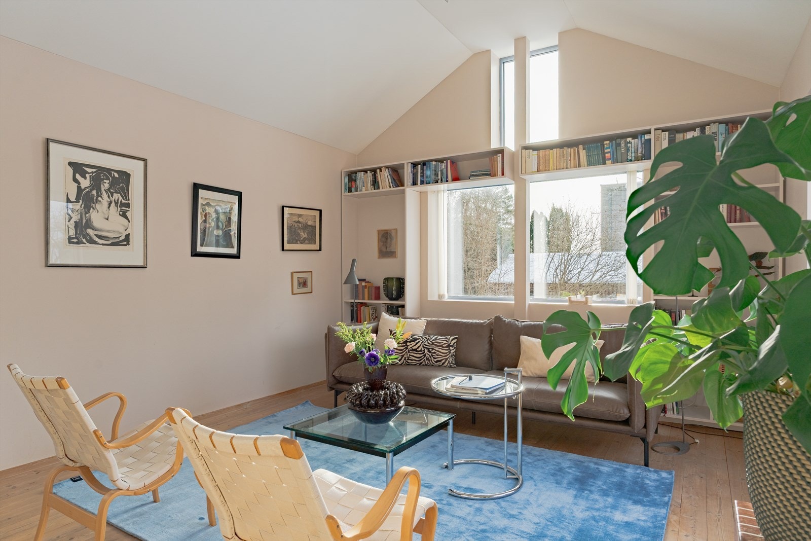 Takhøyde på opp til 3,3 m. Galleribilde