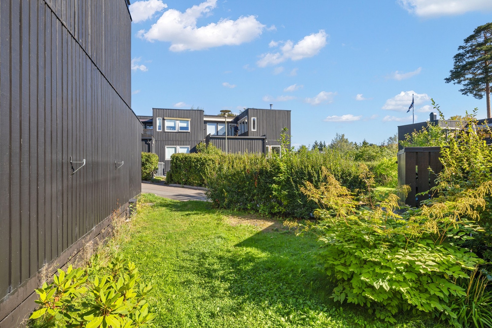 Sommer. Galleribilde