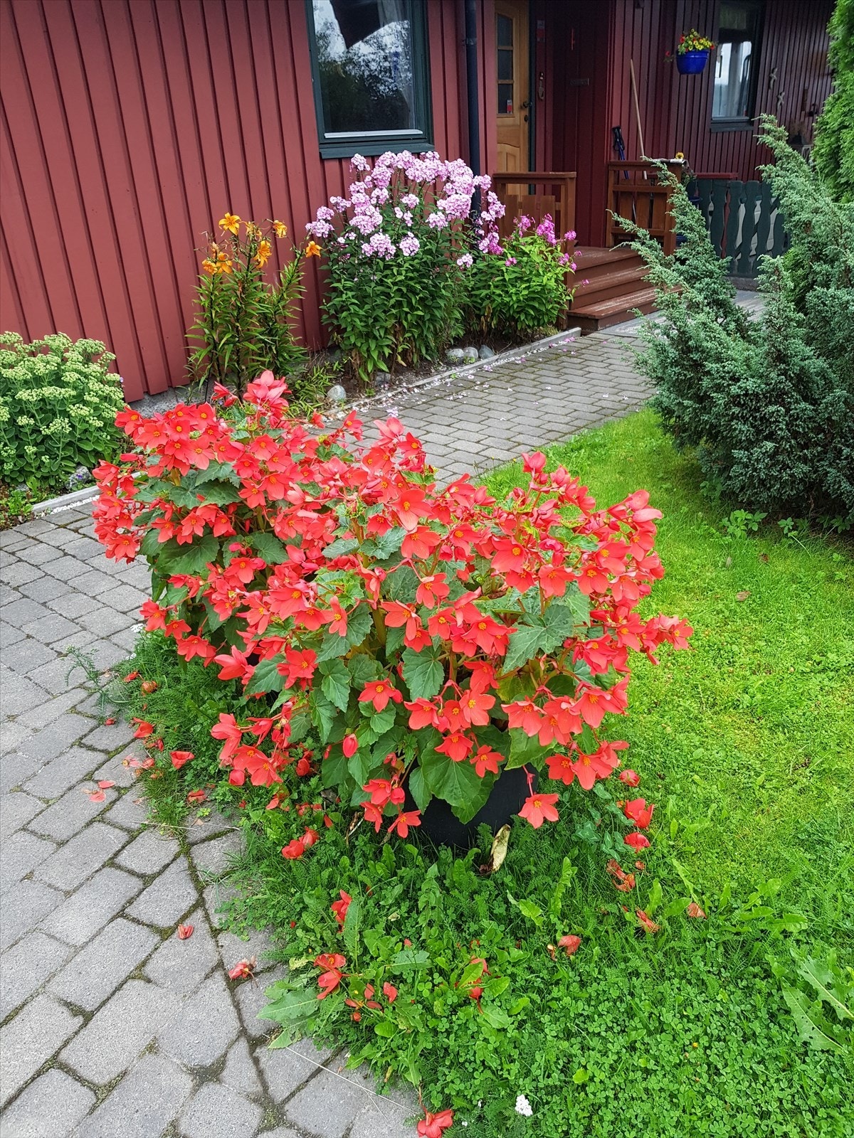 Brosteinsbelagt inngangsparti gir boligen et fint førsteinntrykk. Galleribilde