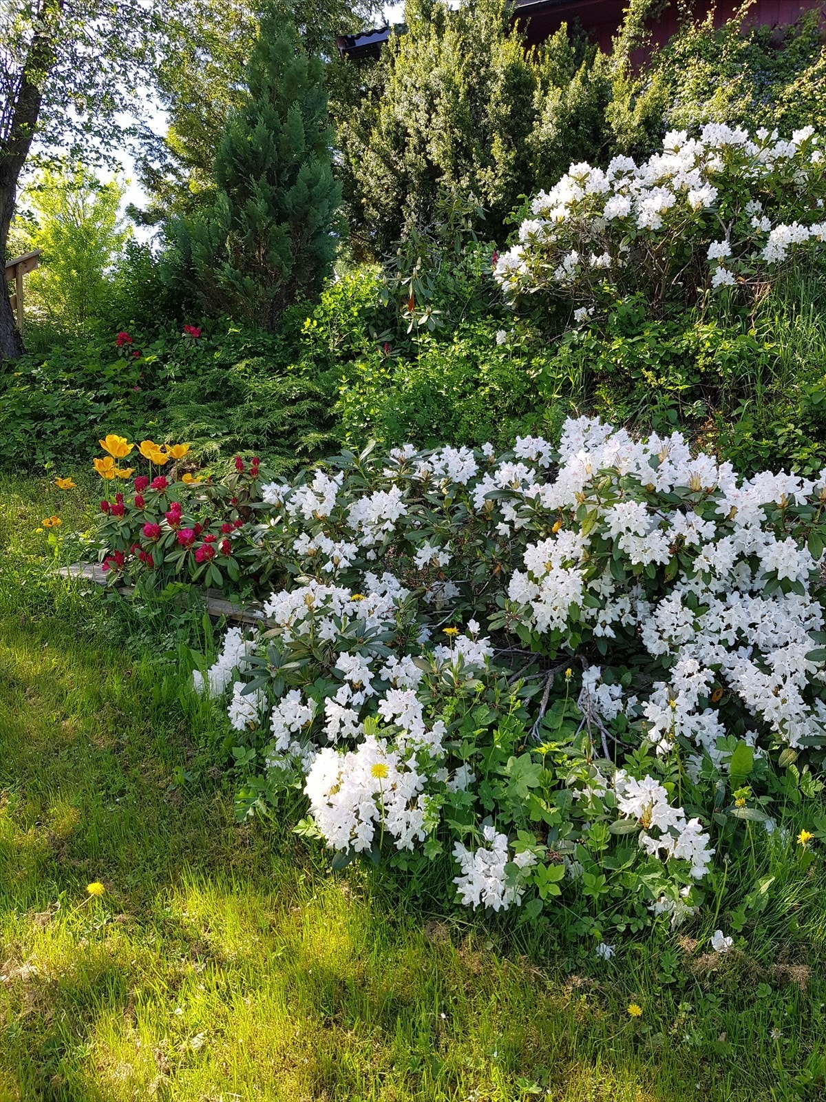 Hage 02 Galleribilde