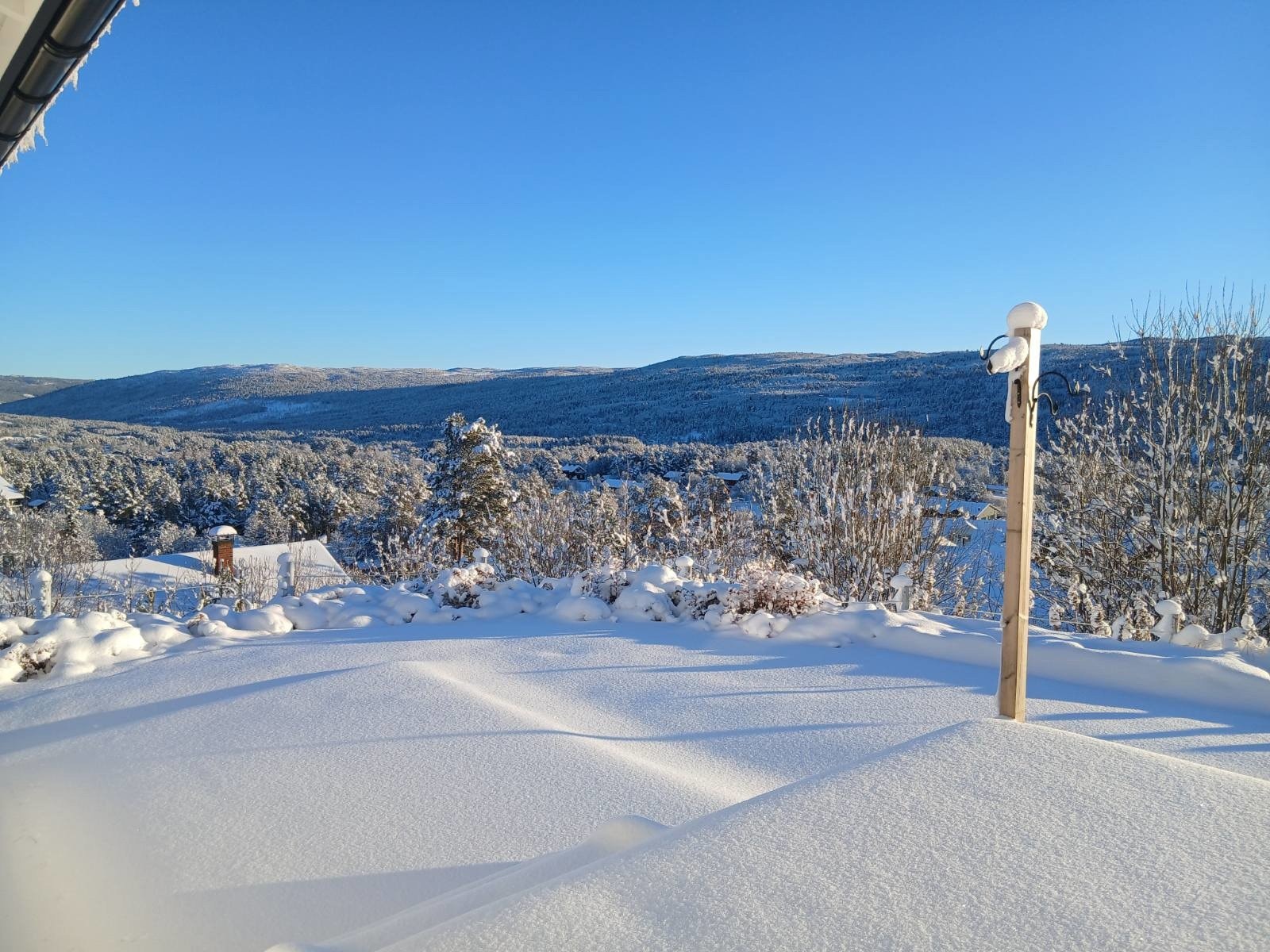 Nydelig utsikt fra første etasjen. Galleribilde