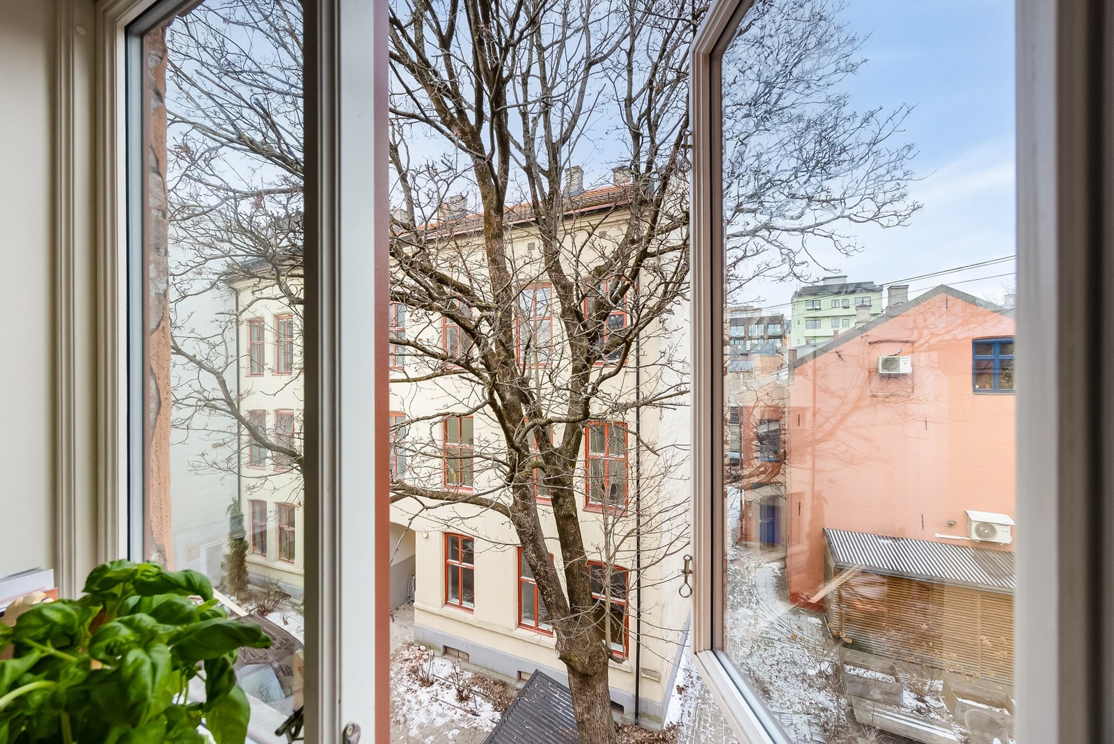 Pent utsyn fra kjøkkenet. Galleribilde