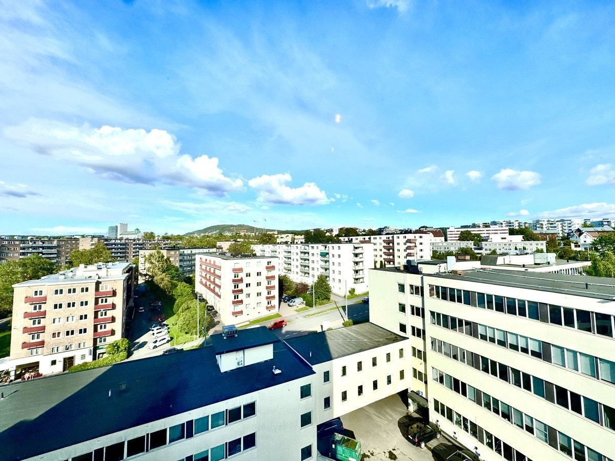 Utsikt. Galleribilde