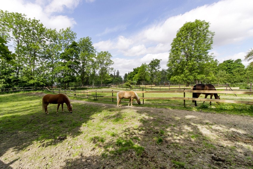 Tveten gård ligger i området med flotte rekreasjonsmuligheter Galleribilde