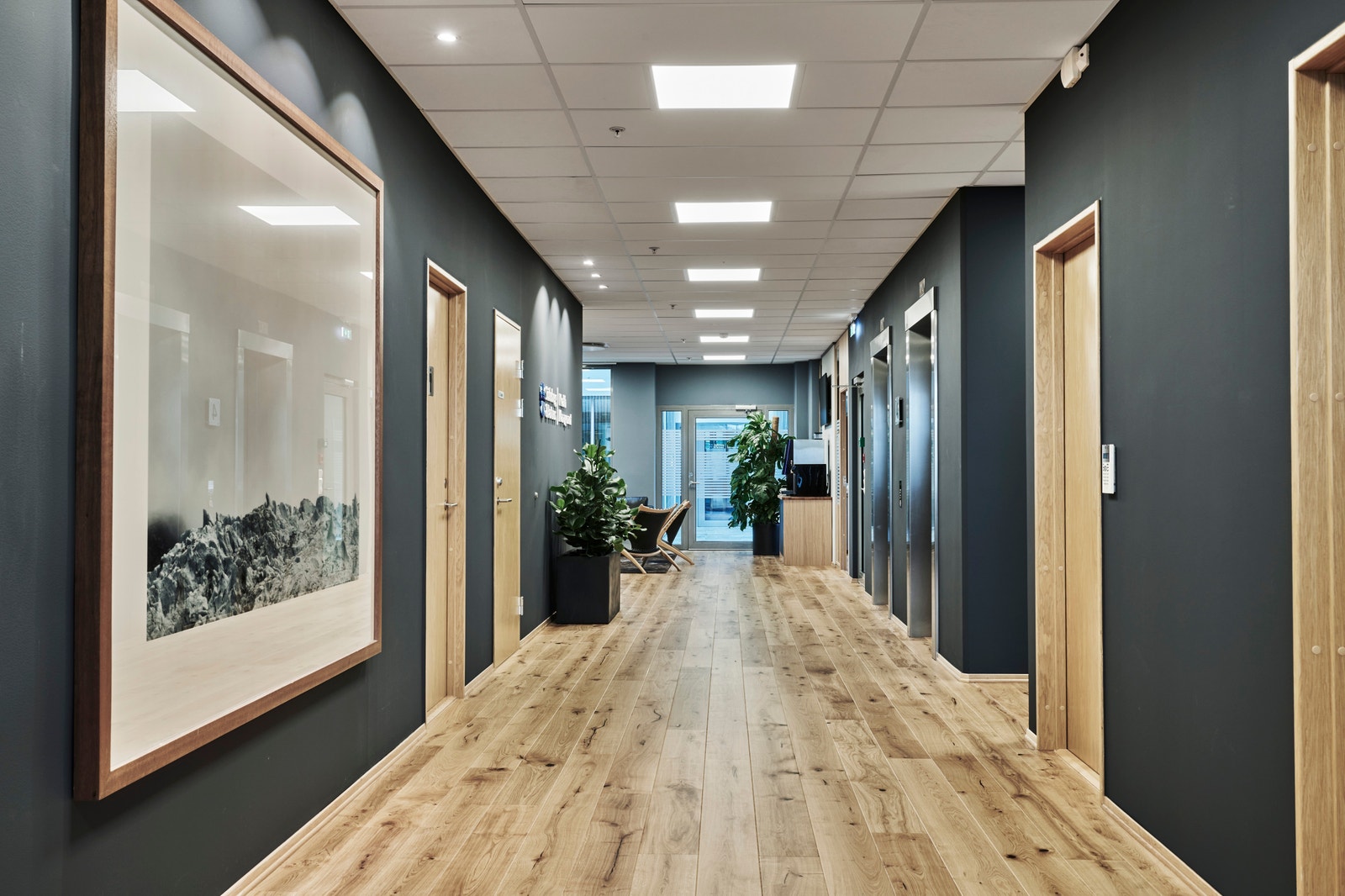 Foto: Tom Haga Galleribilde