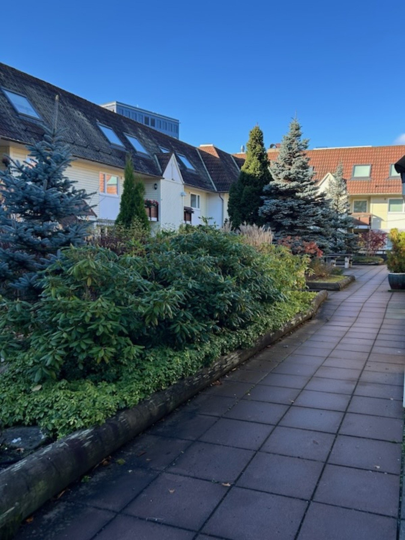 Selgers egne sommerbilder av bakgården viser et grønt og hyggelig uteområde! Galleribilde