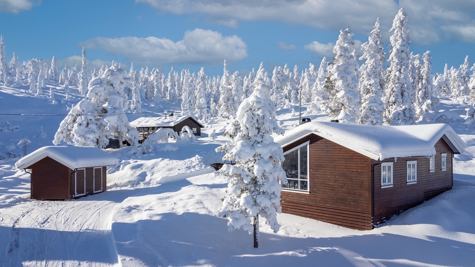 Om vinteren er Blefjell kjent for sine preparerte langrennsløyper i høyfjellet, mens sommeren byr på bærplukking, fiskevann og flotte utsiktspunkter. Galleribilde