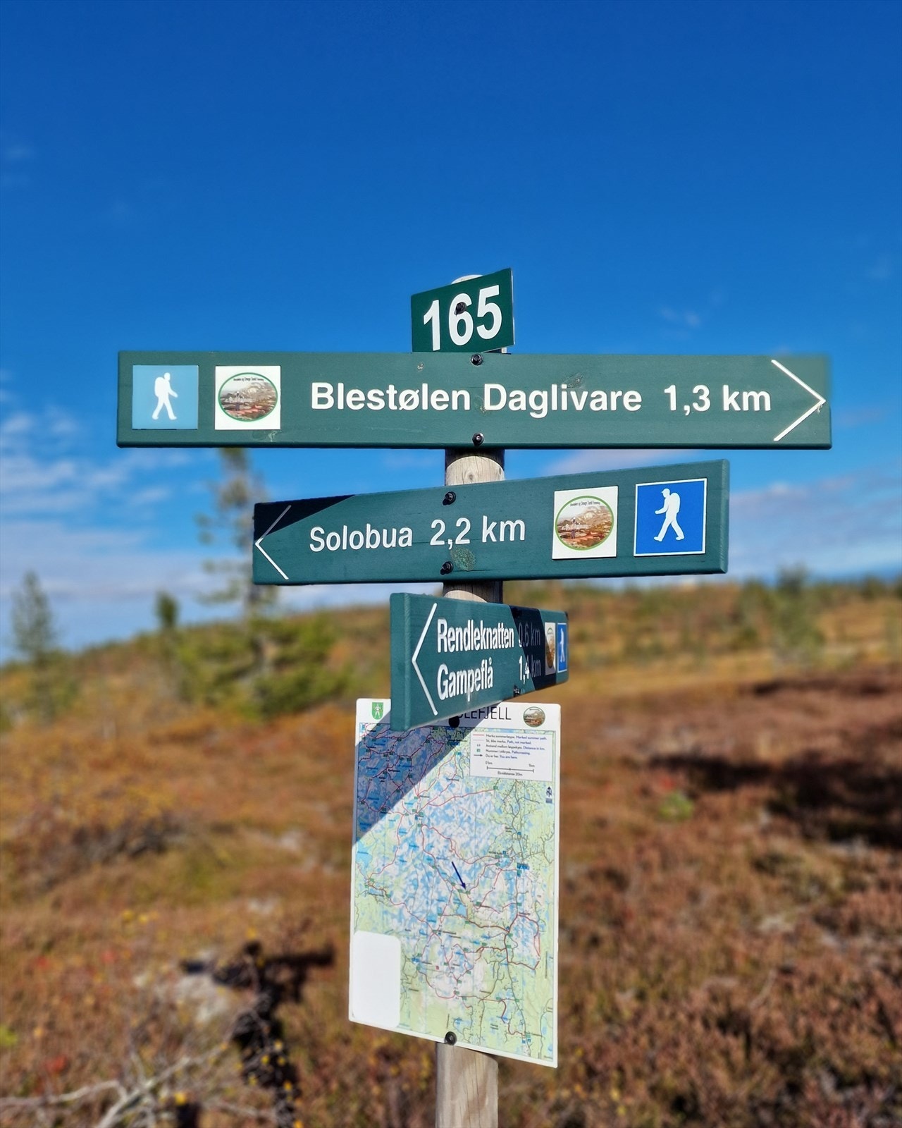 Om vinteren er Blefjell kjent for sine preparerte langrennsløyper i høyfjellet, mens sommeren byr på bærplukking, fiskevann og flotte utsiktspunkter. Galleribilde