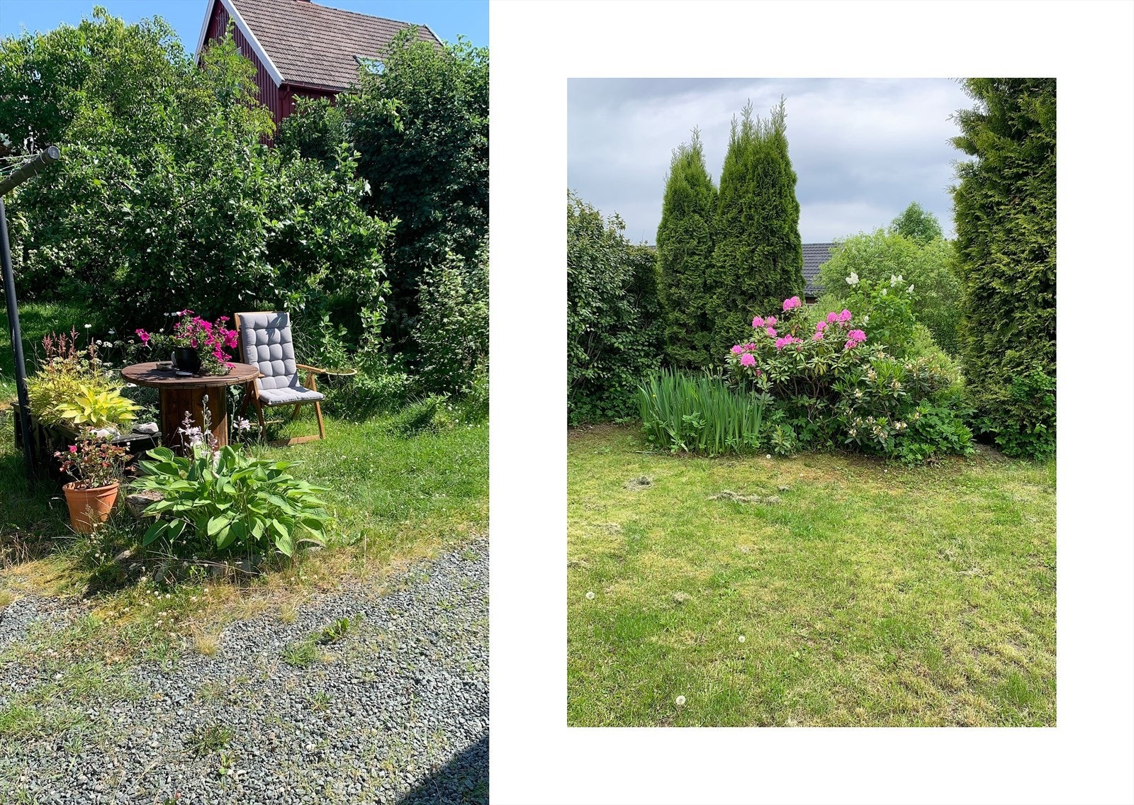 Selgers private bilder fra hagen på sommerstid. Galleribilde