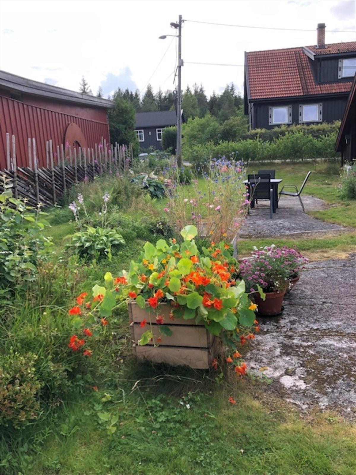 Private bilder | Sommer Galleribilde