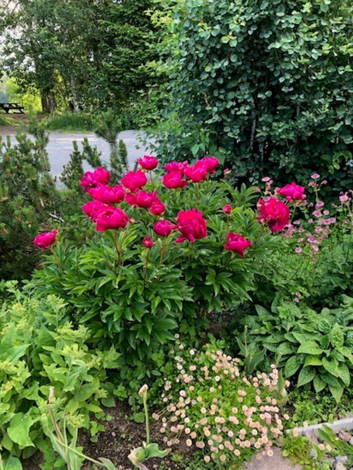 Private bilder | Sommer Galleribilde