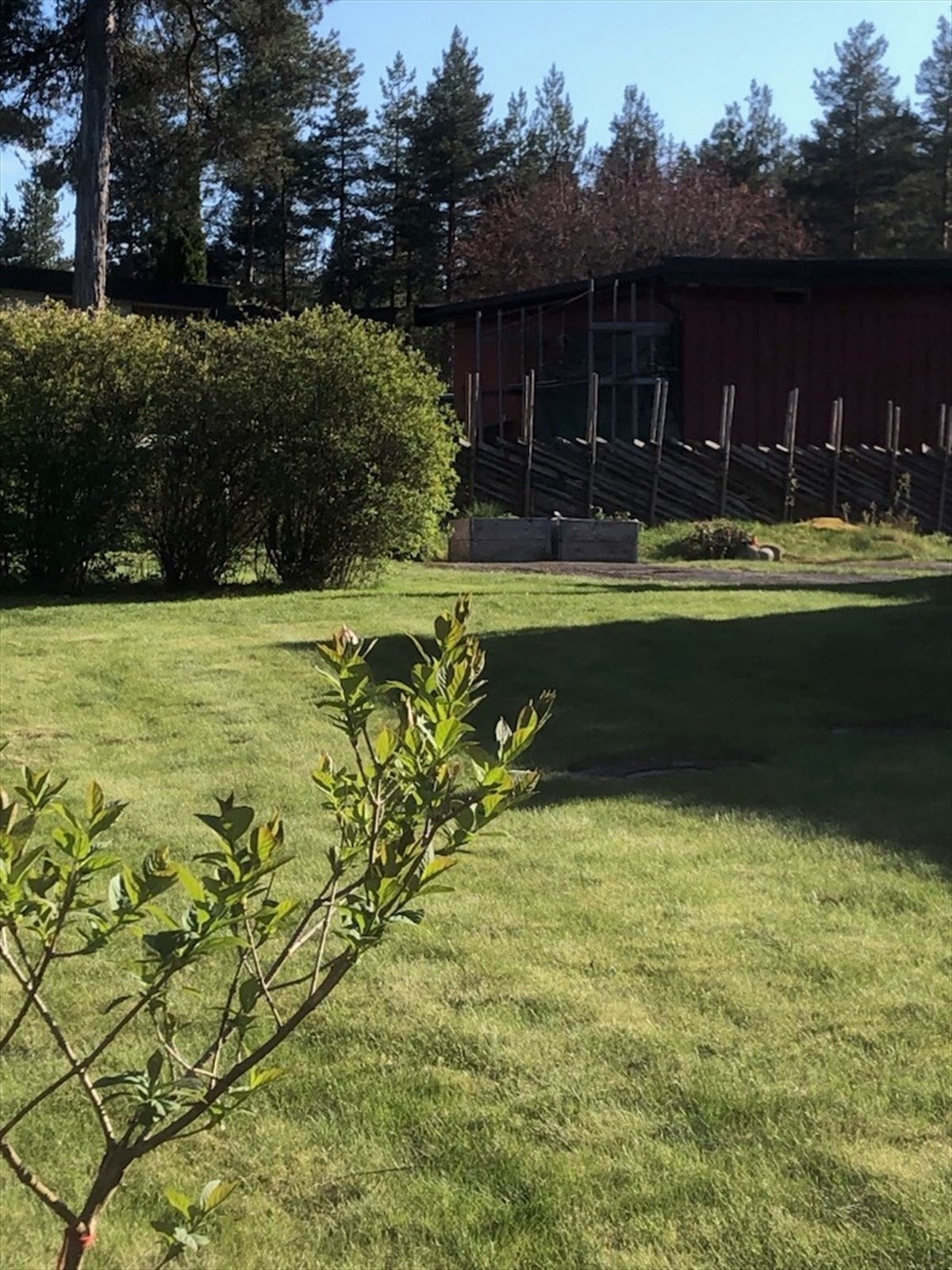 Private bilder | Sommer Galleribilde