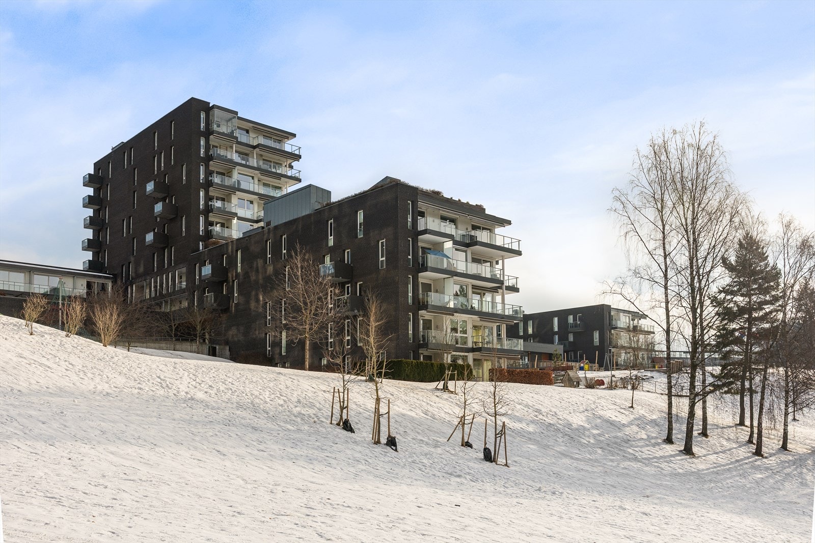 Torshovdalen vant Statens byggeskikkpris i 2015, og juryen fremhever prosjektets boligkvaliteter som utsikt, gode solforhold, nærhet til park, gjennomtenkt byplan, arkitektur av høy klasse og et variert boligtilbud. Galleribilde