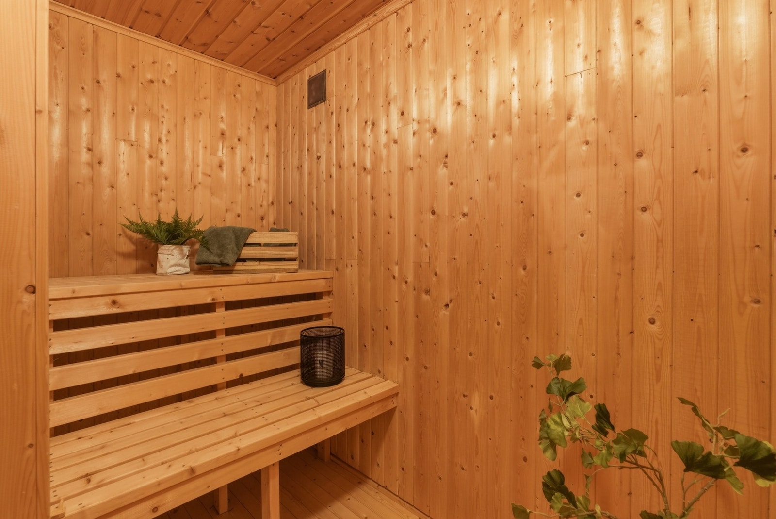 Badstue. Galleribilde