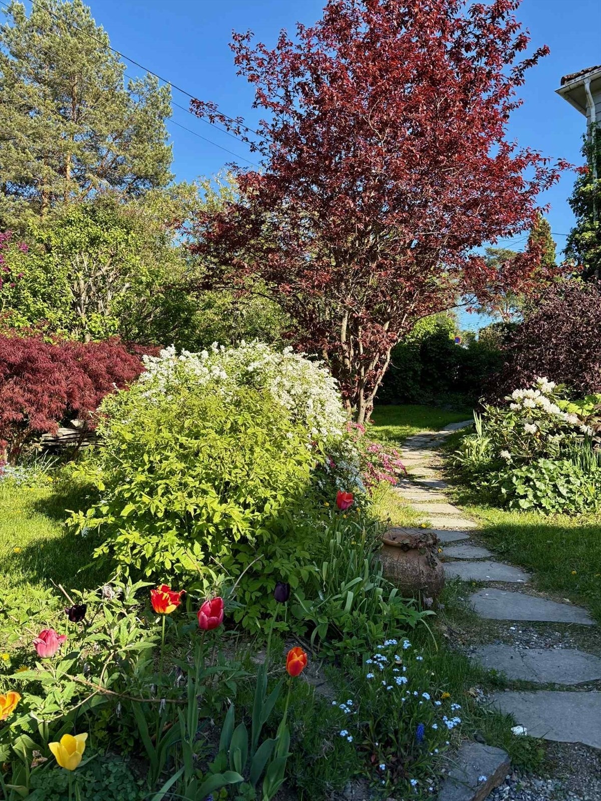 Selgers sommerbilde. Galleribilde