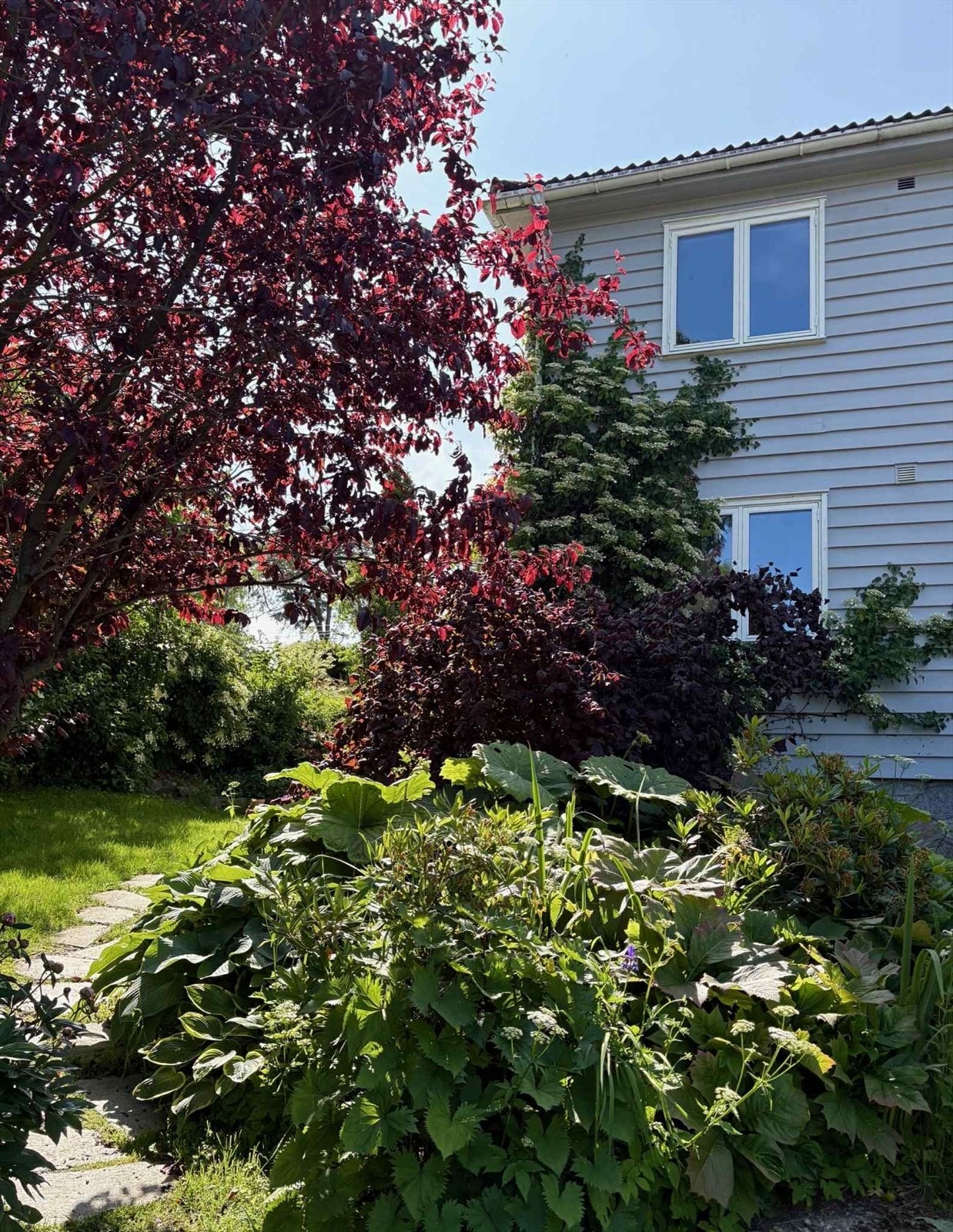 En variert beplantning i hagen gir en grønn og innbydende ramme rundt boligen. Selgers sommerbilde. Galleribilde