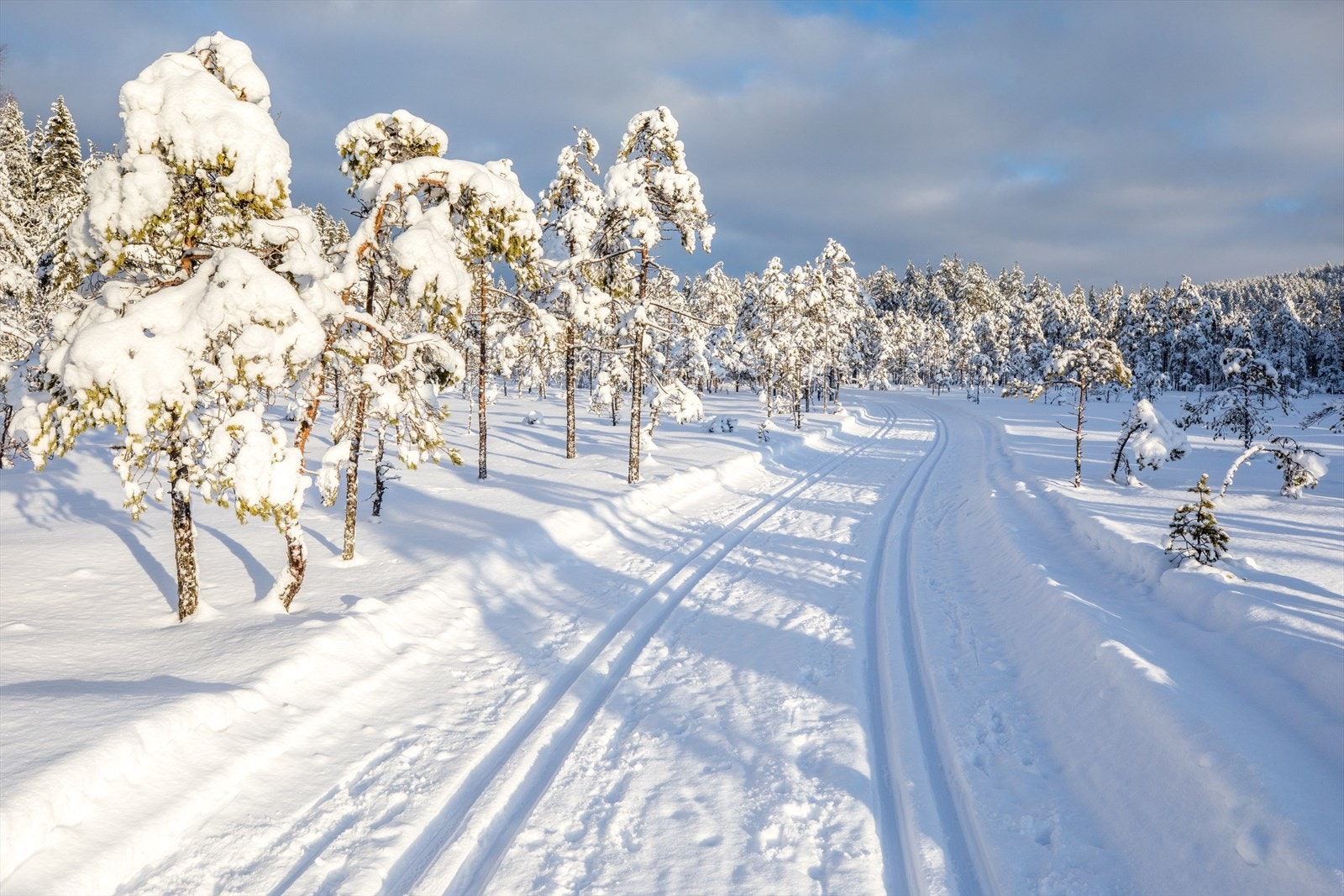 Romeriksåsen byr på fantastiske turområder. Galleribilde