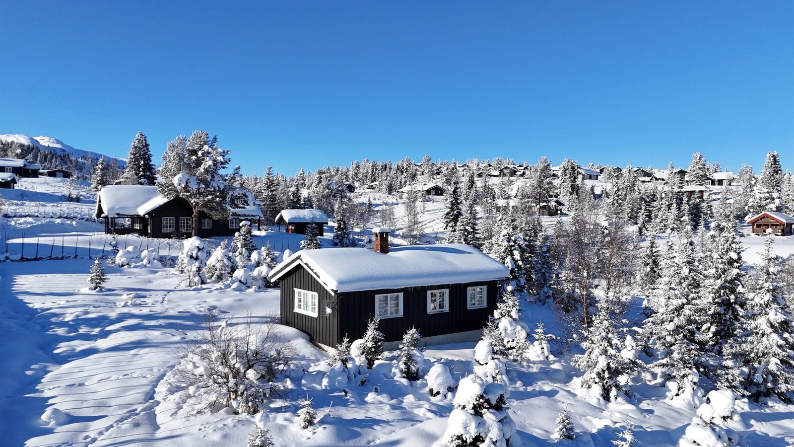 Velkommen til Bjødnalivegen 74! Galleribilde