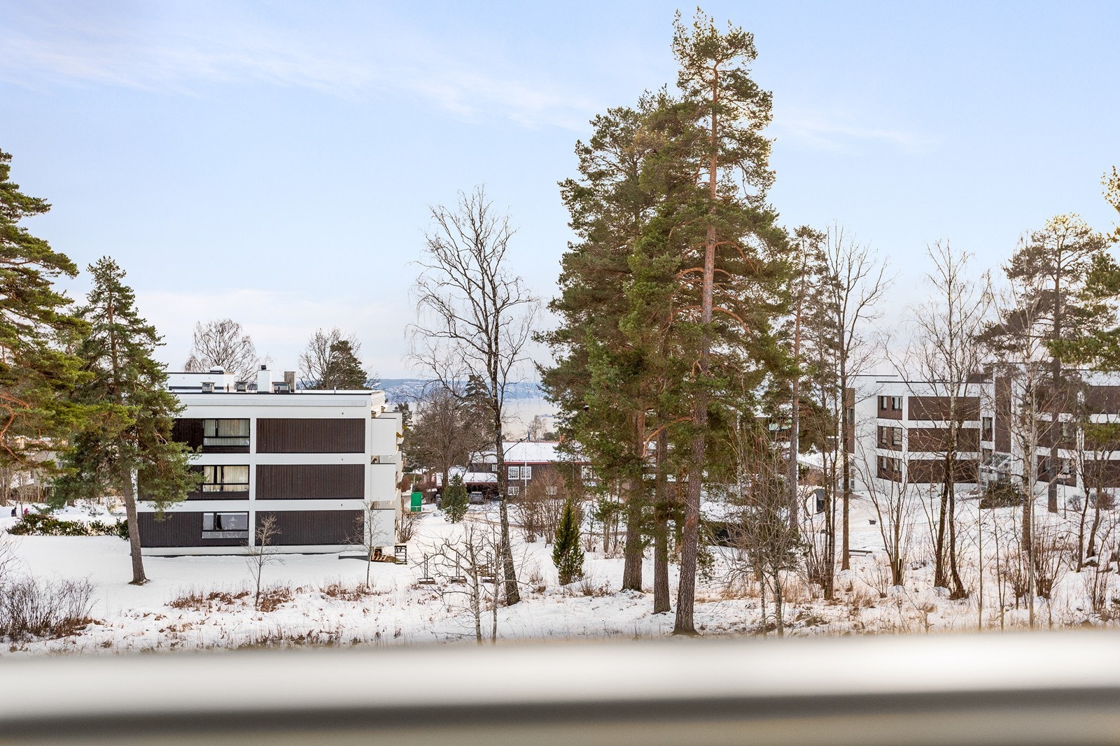 Utsikten fra leiligheten - Oslofjorden skimtes mellom trærne Galleribilde