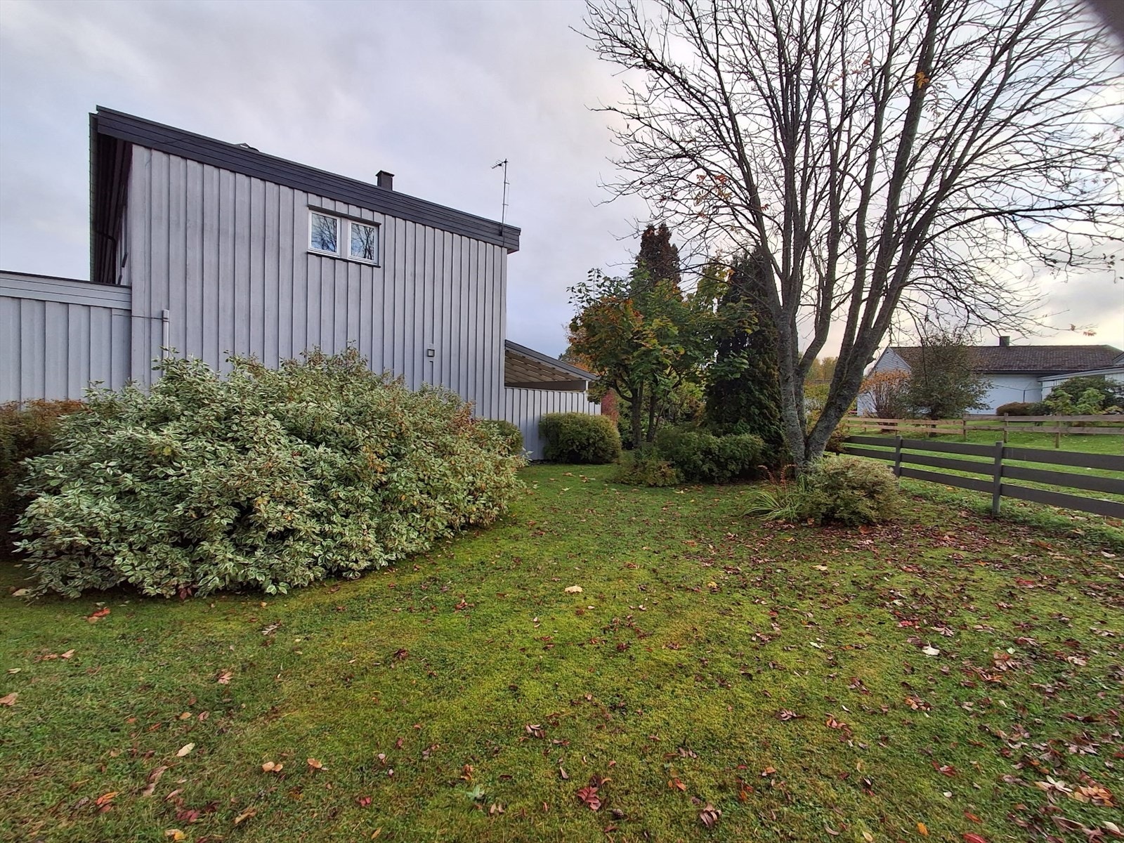 Store, private grøntarealer rett utenfor døren. Galleribilde