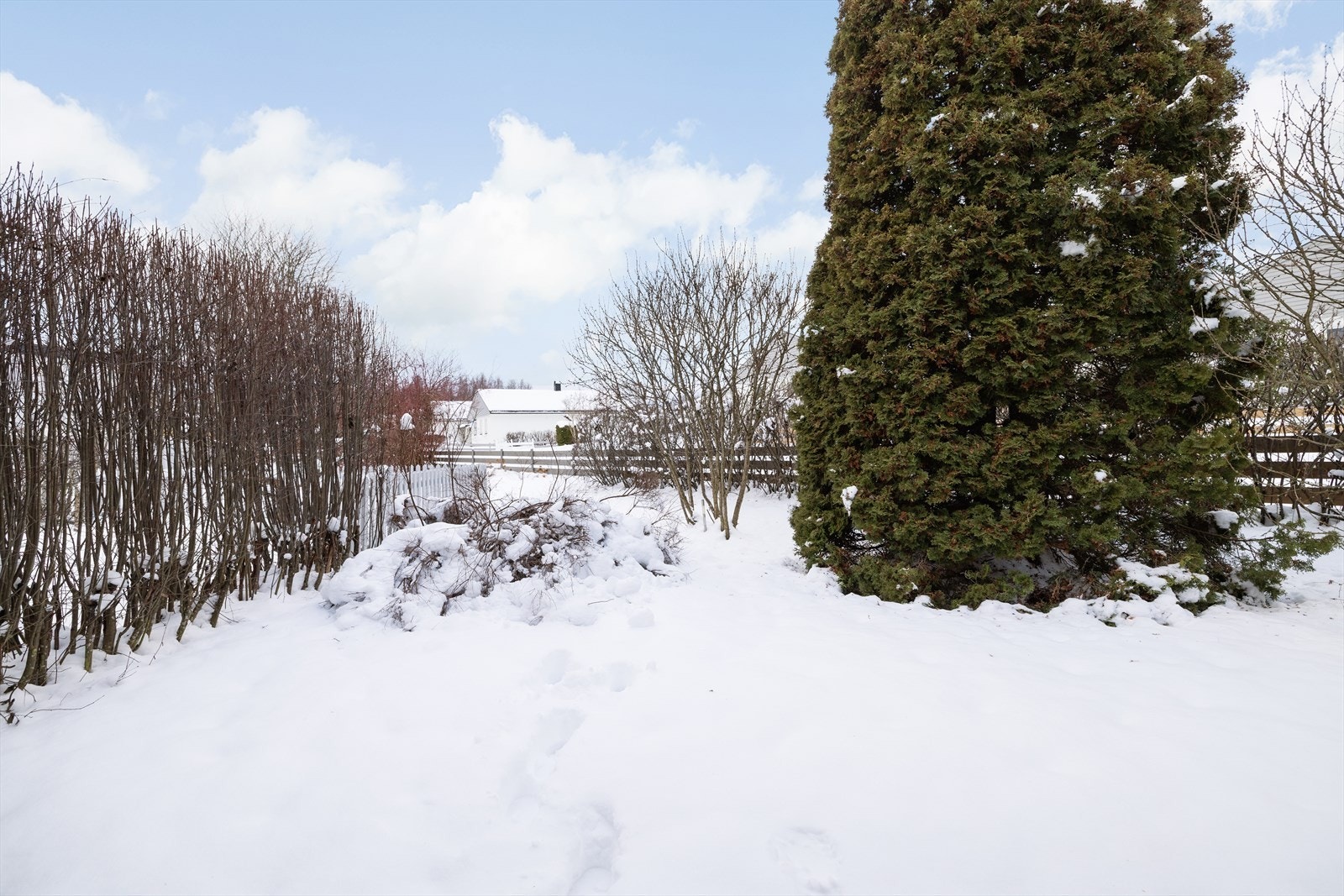 Hagen gir rom for lek og utendørsaktiviteter. Galleribilde