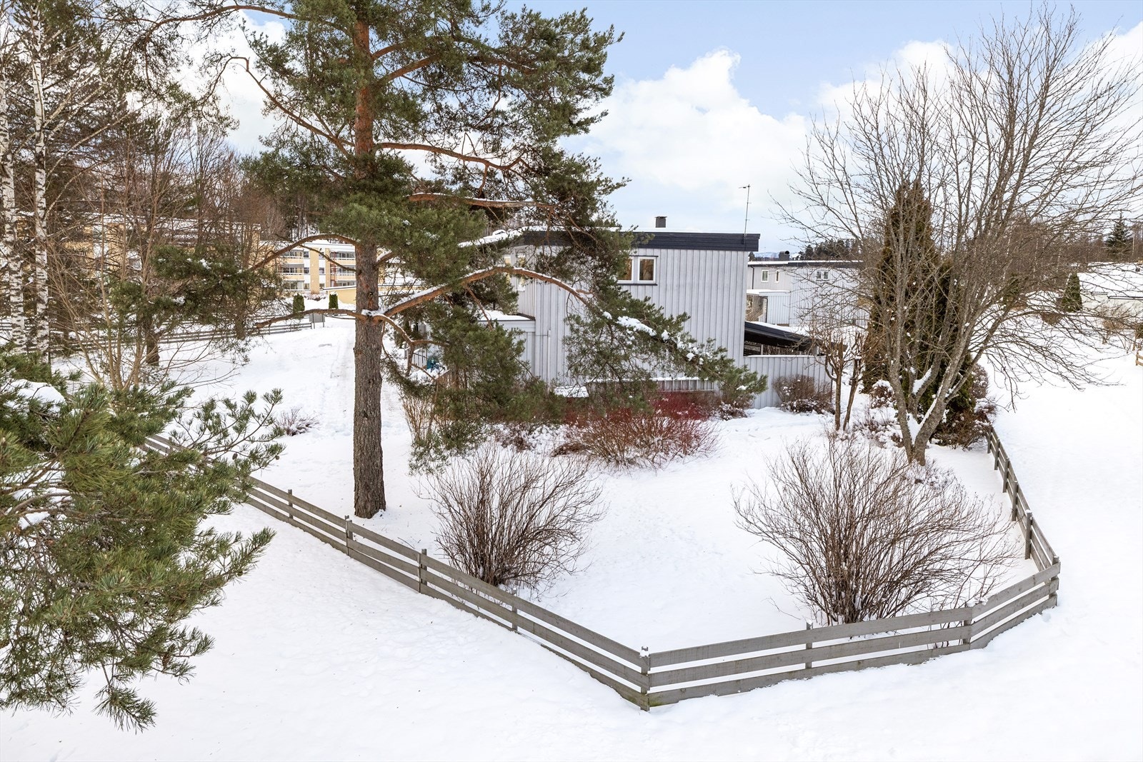 Tomten er opparbeidet med plen og diverse beplantning. Galleribilde