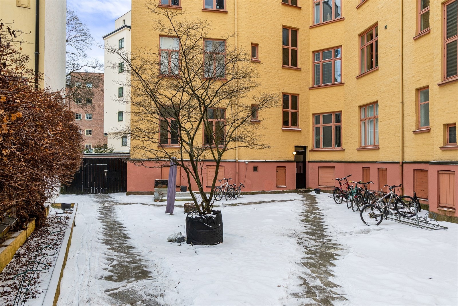 Bakgård. Galleribilde