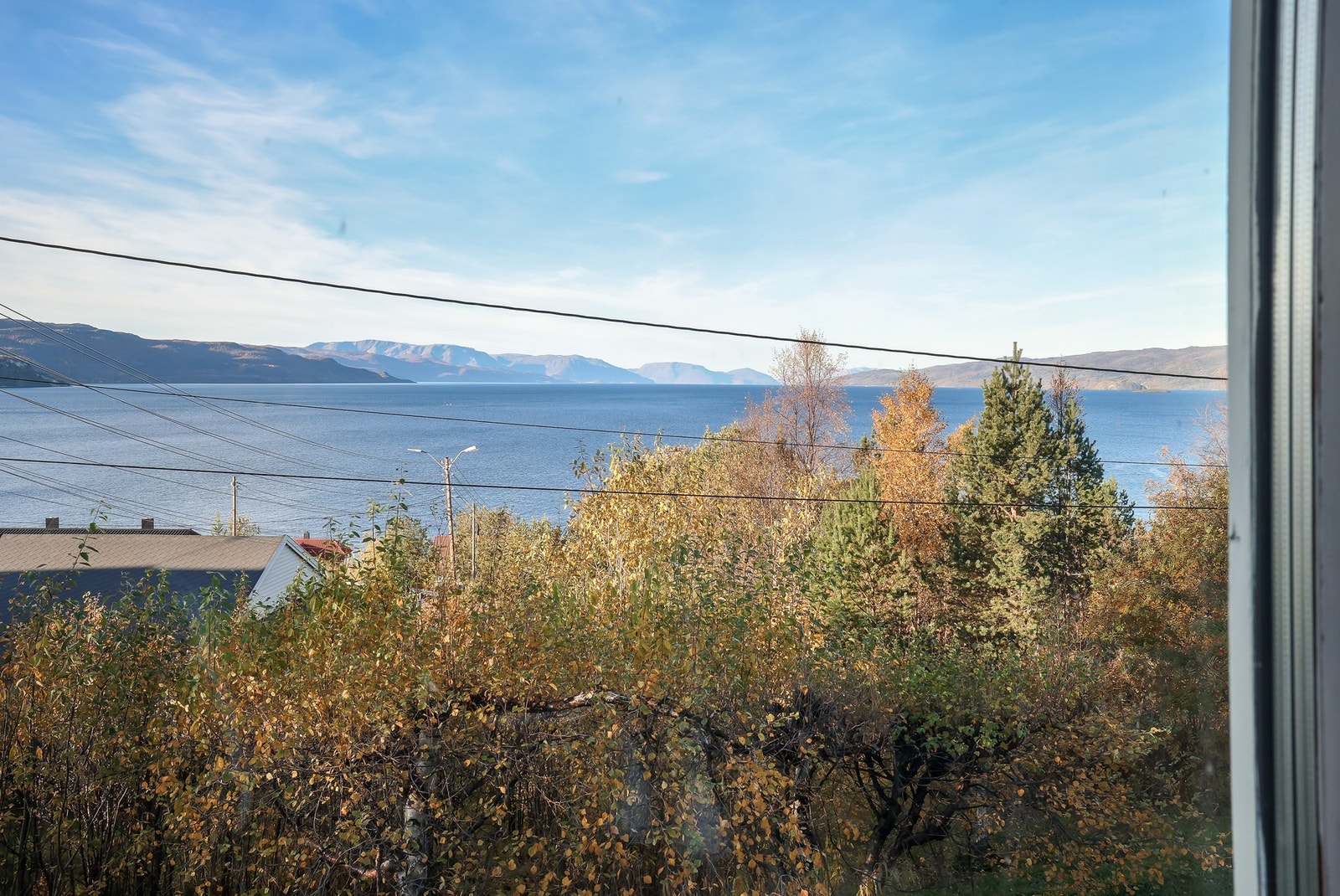 Utsikt. Galleribilde