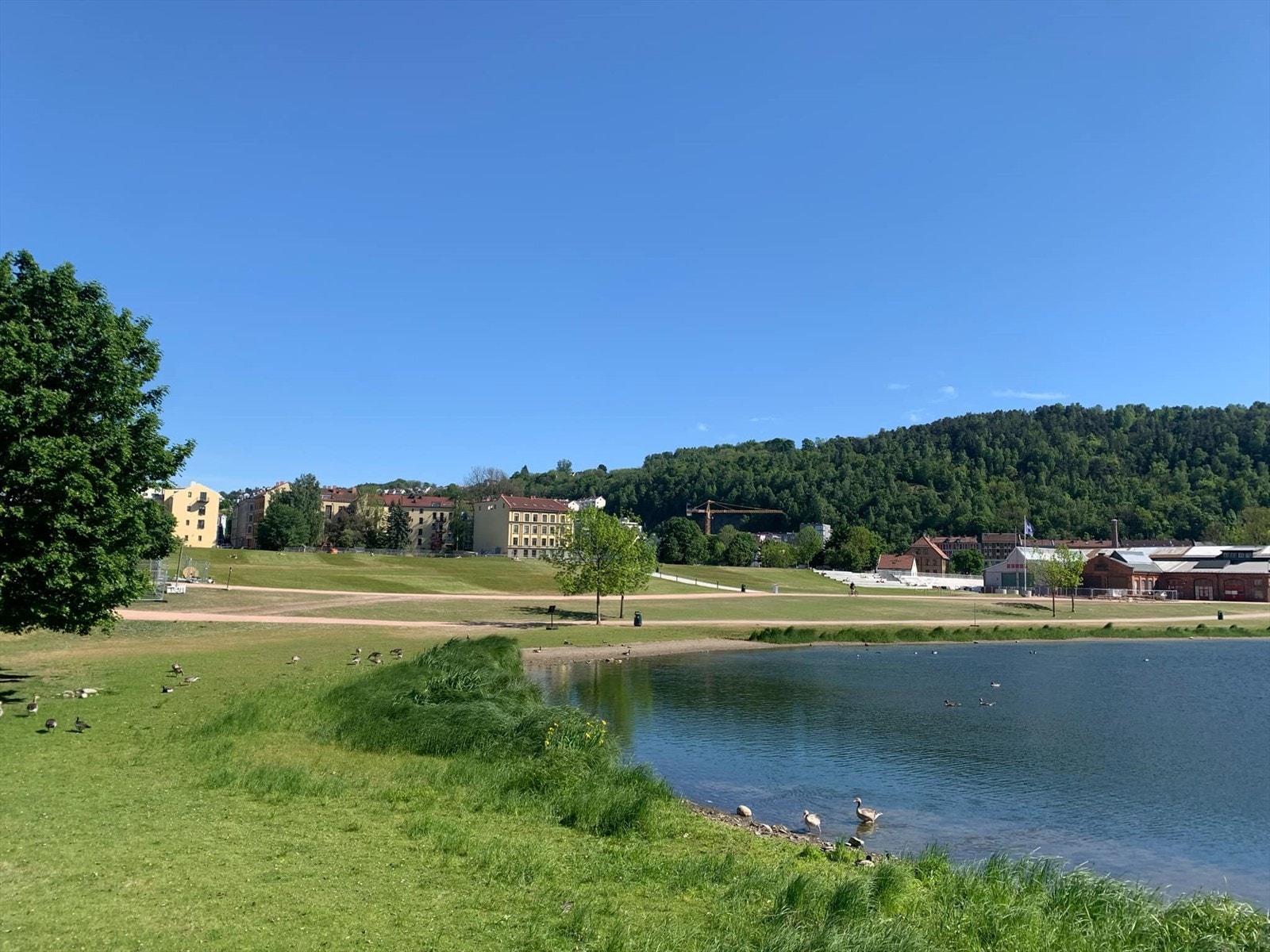 Gjennom omfattende oppgraderinger og satsing på grøntområder, gangveier og kulturformidling, har Middelalderparken blitt et levende møtepunkt for både lokale og besøkende. Galleribilde