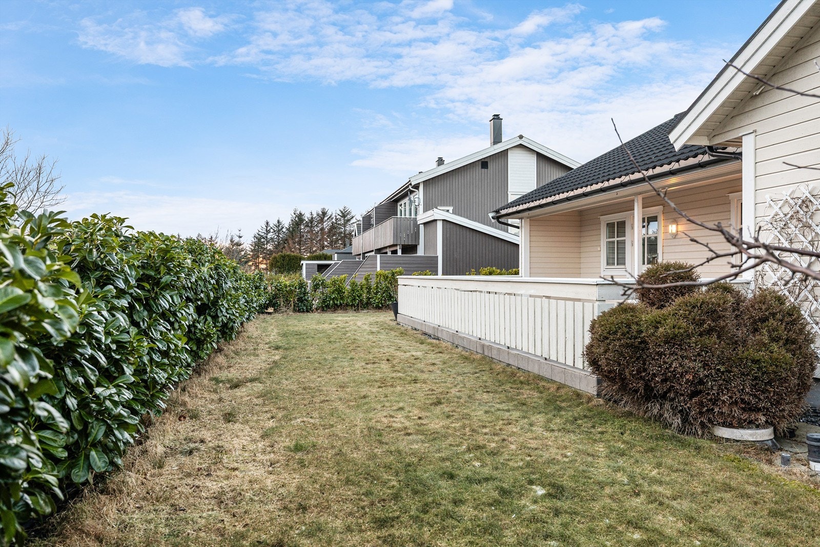 Tomten er opparbeidet med plen, hekk og beplantning. Galleribilde