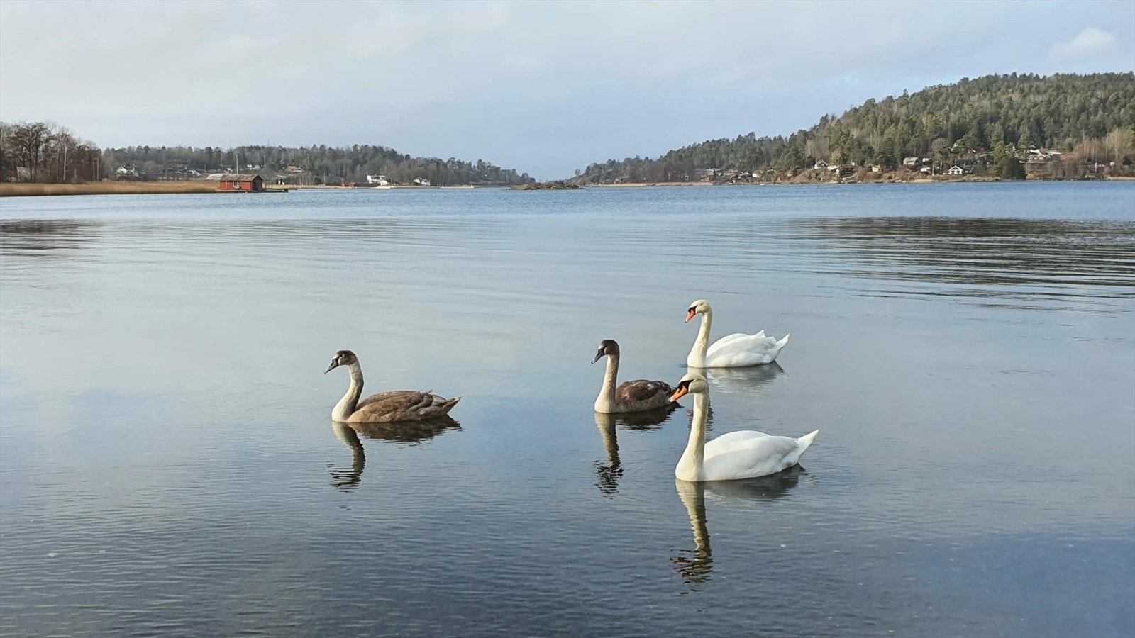 Selgers stemningsbilder fra nærområdet. Galleribilde