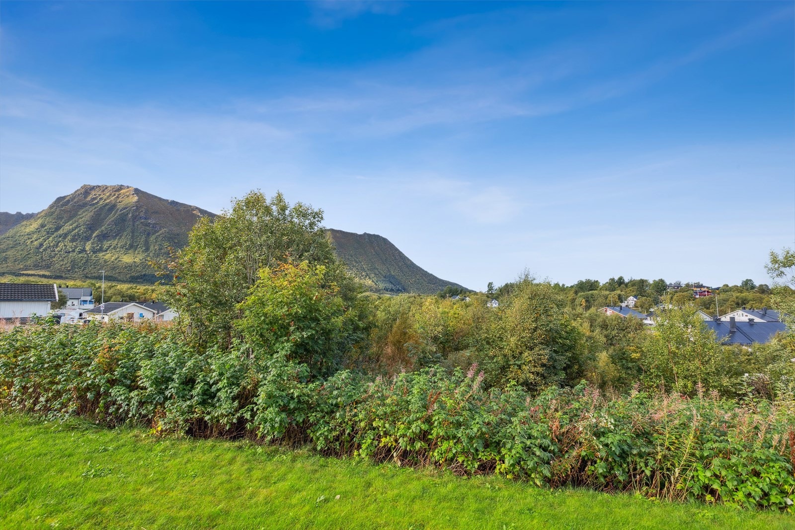 Du har både fjellutsikt og fjordgløtt fra Vierveien 48. Gressplen omgir enebolig og garasje. Galleribilde