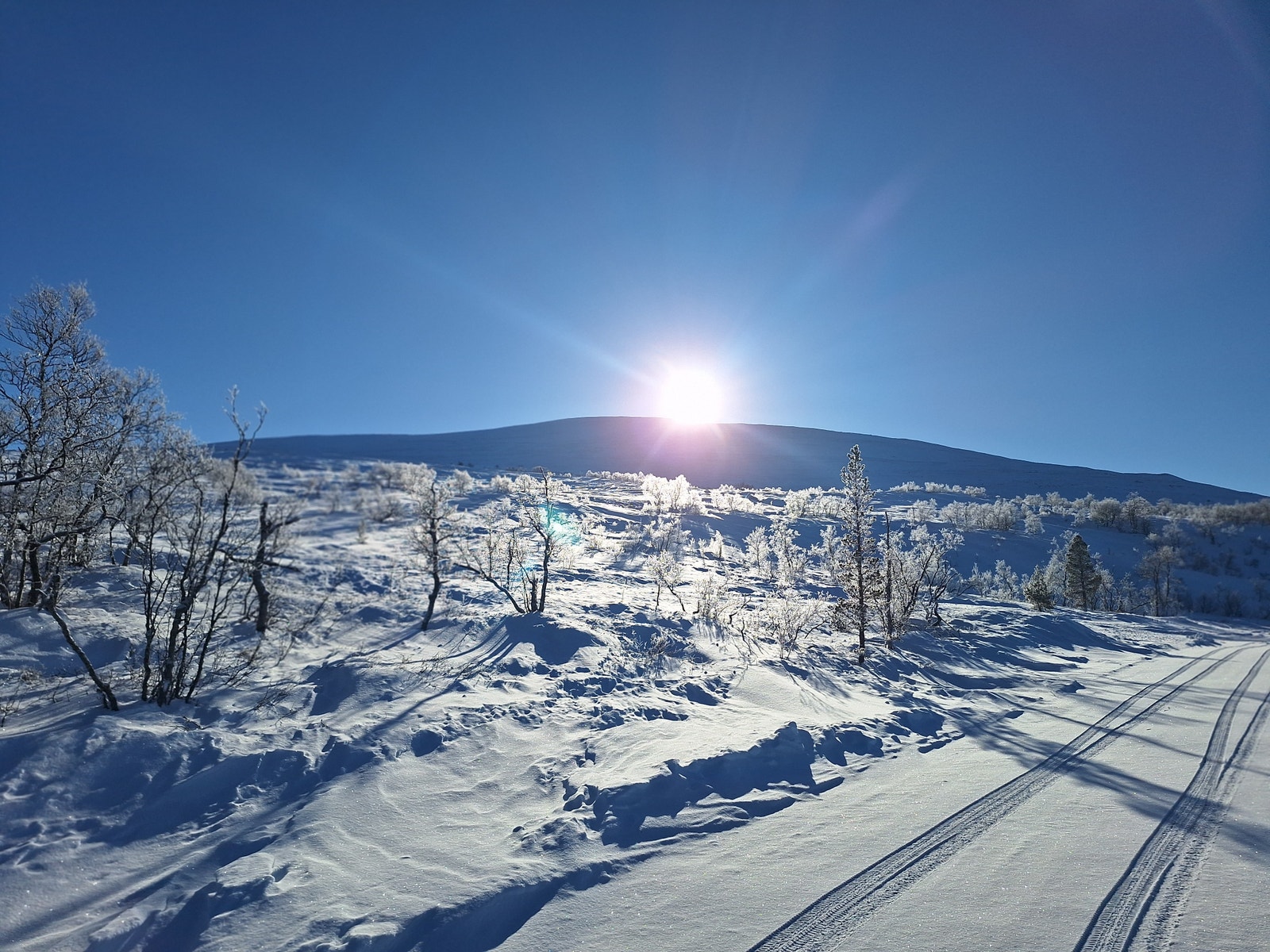 De øverste tomten ligger helt opp mor fjellbandet. Galleribilde