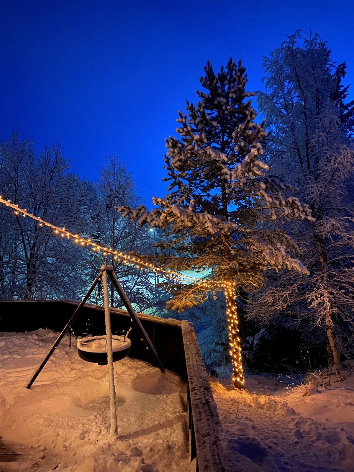 Perfekte kvelder i måneskinn. Bilde tatt av selger. Galleribilde