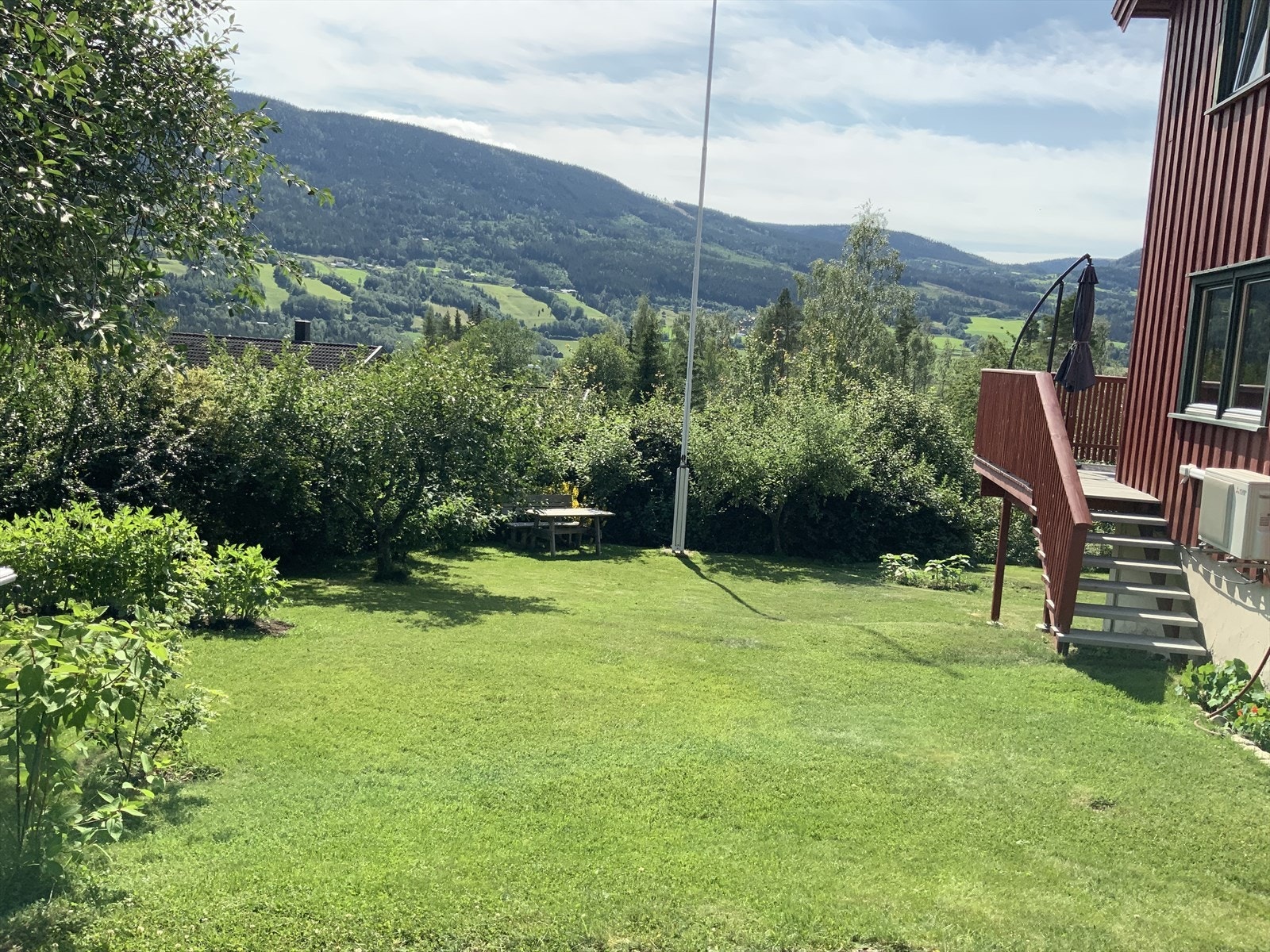 Bilde fra sommeren Galleribilde