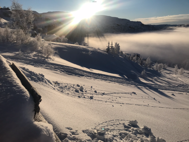 Private bilder. Galleribilde