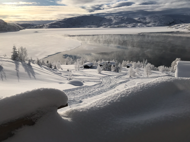 Private bilder. Galleribilde