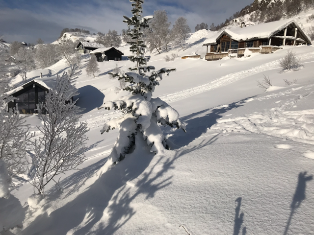 Private bilder. Galleribilde